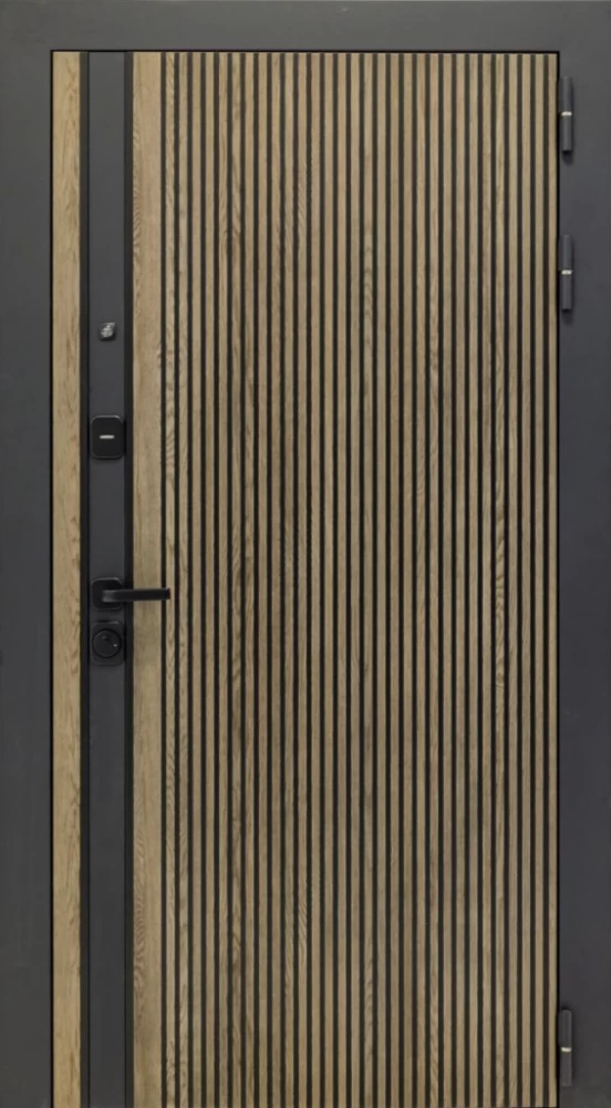 Входная дверь ДвериПРО Rosna ФЛ-256 (10мм, бетон пепельный) DPRO196478 внешняя сторона