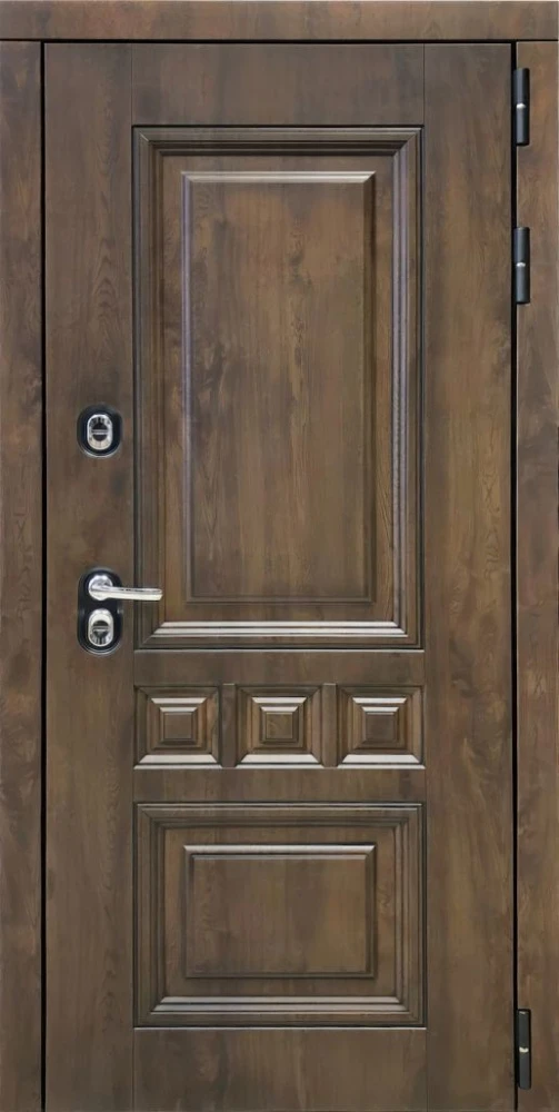 Входная дверь ДвериПРО Аура Без фрезеровки Дуб пацифик горизонт DPRO228216 внешняя сторона